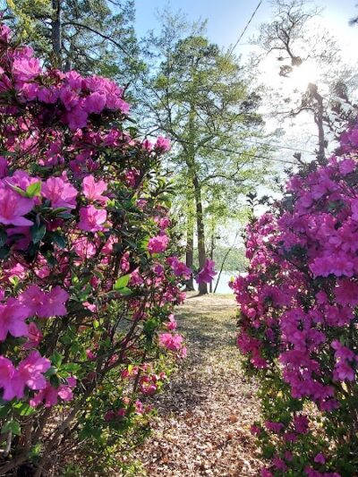 Gregg Park Civic Center - Graniteville, SC