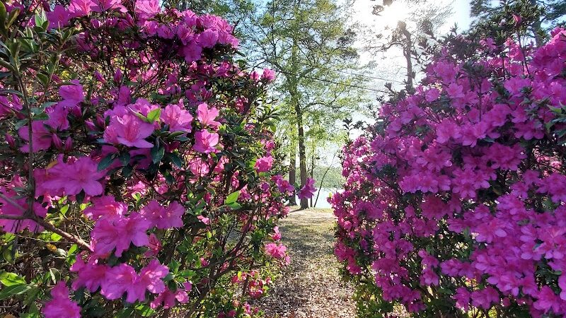 Gregg Park Civic Center - Graniteville, SC