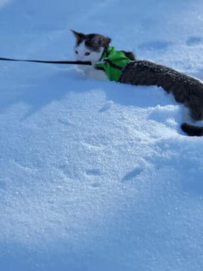 Blanche Lake Park - Grant,
