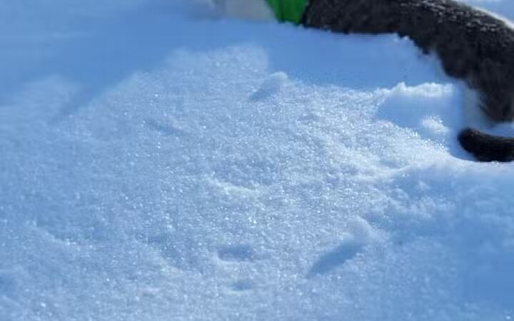 Blanche Lake Park - Grant,