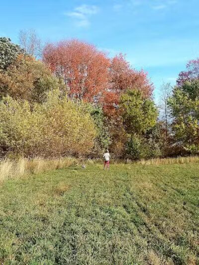 Blanche Lake Park - Grant,