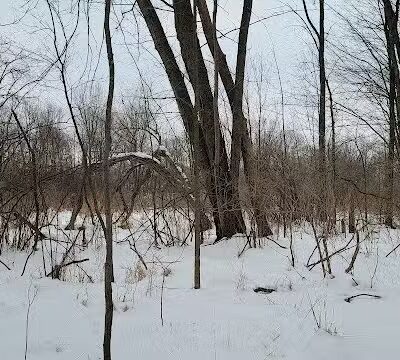 Blanche Lake Park - Grant,