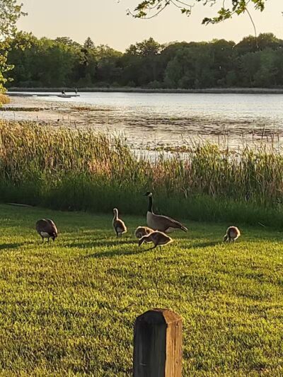 Blanche Lake Park - Grant,