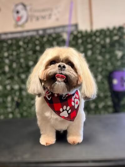 Country Pawz - Grant,