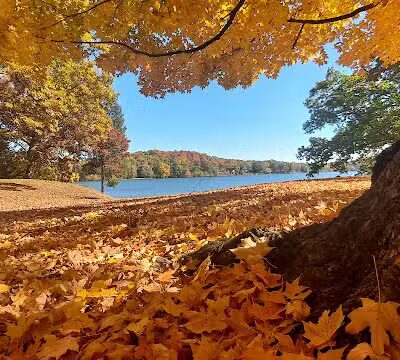 Clear Lake County Park - Grass Lake,