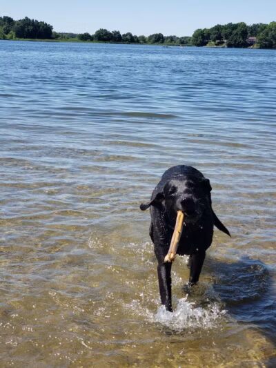 Grass Lake Park - Grass Lake,