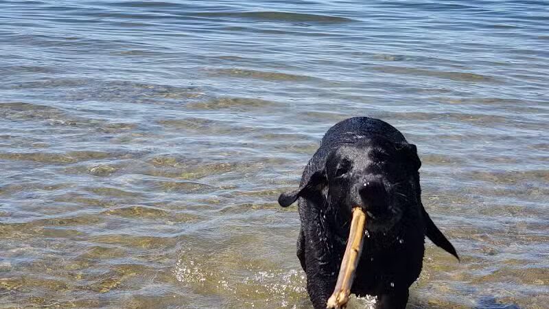 Grass Lake Park - Grass Lake,