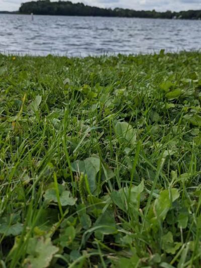 Little Wolf Lake County Park - Grass Lake,