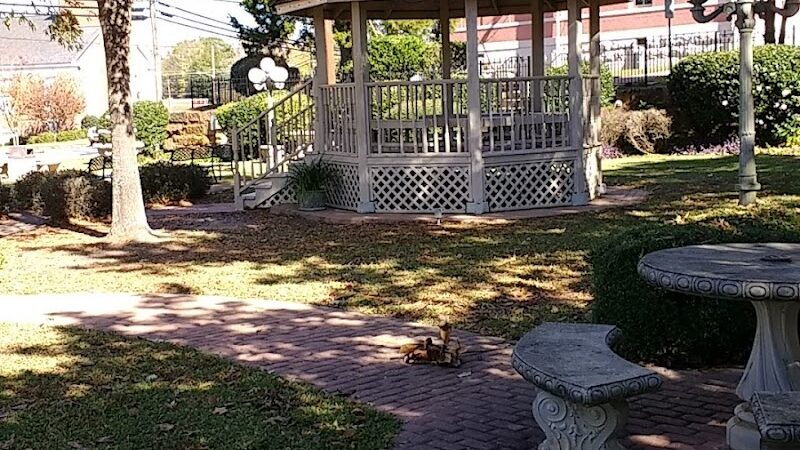 Carol's Park - Gray, GA