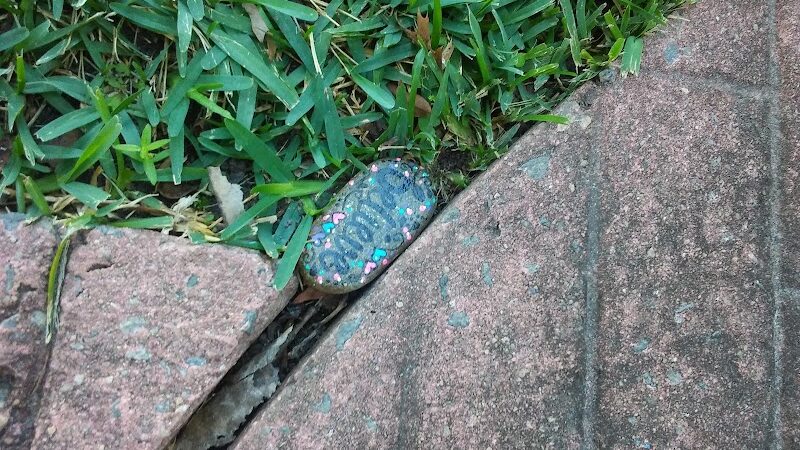 Carol's Park - Gray, GA