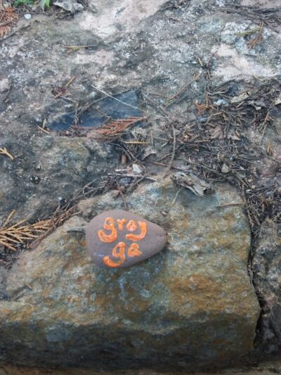 Carol's Park - Gray, GA