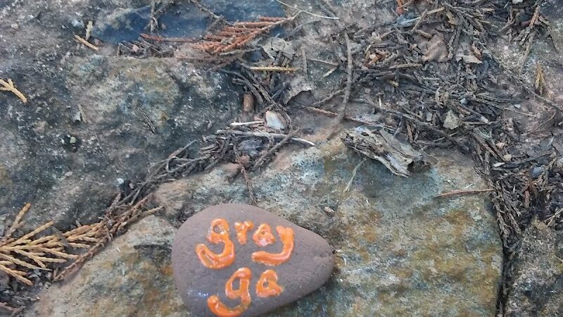 Carol's Park - Gray, GA