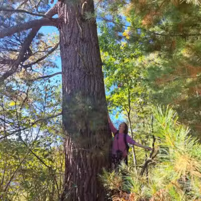 Mason Tract Pathway Trailhead - Grayling,