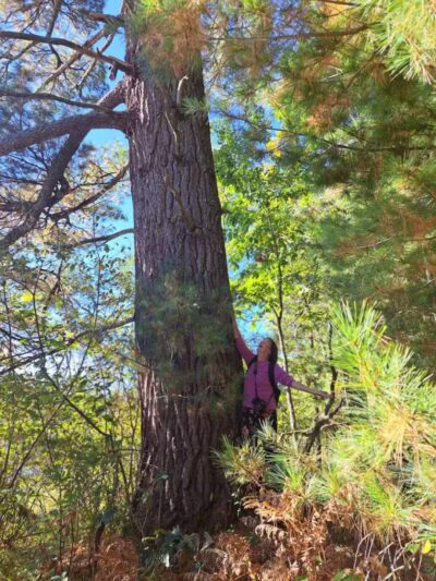Mason Tract Pathway Trailhead - Grayling,