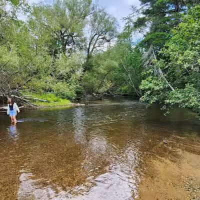 Mason Tract Pathway Trailhead - Grayling,