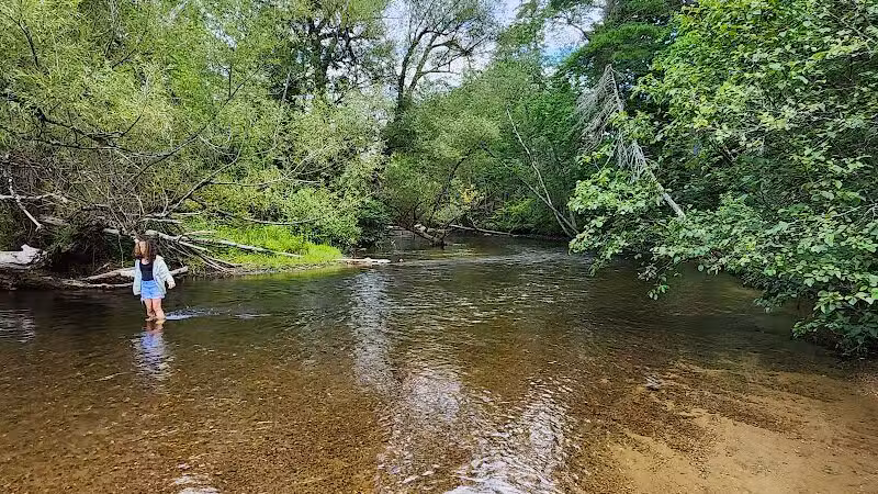 Mason Tract Pathway Trailhead - Grayling,