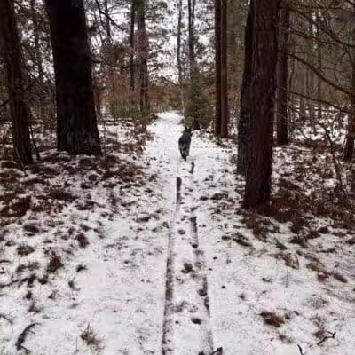 Mason Tract Pathway Trailhead - Grayling,