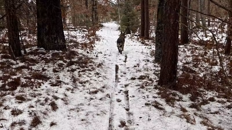 Mason Tract Pathway Trailhead - Grayling,