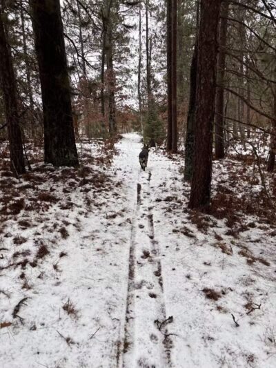 Mason Tract Pathway Trailhead - Grayling,