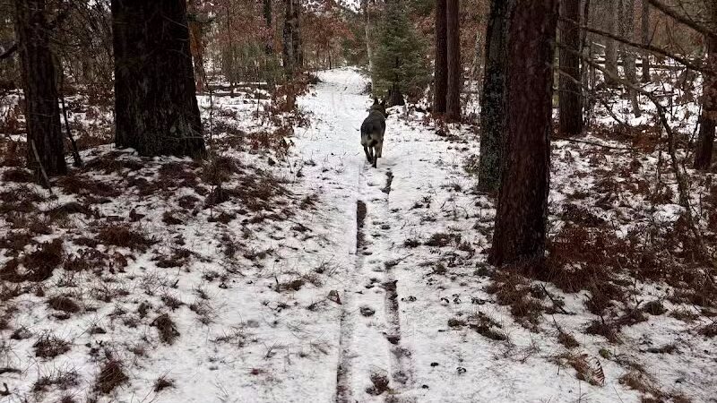 Mason Tract Pathway Trailhead - Grayling,