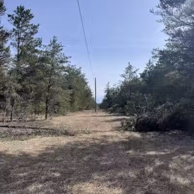 Mason Tract Pathway Trailhead - Grayling,