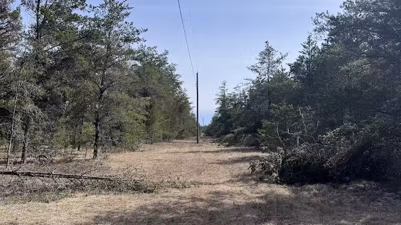 Mason Tract Pathway Trailhead - Grayling,