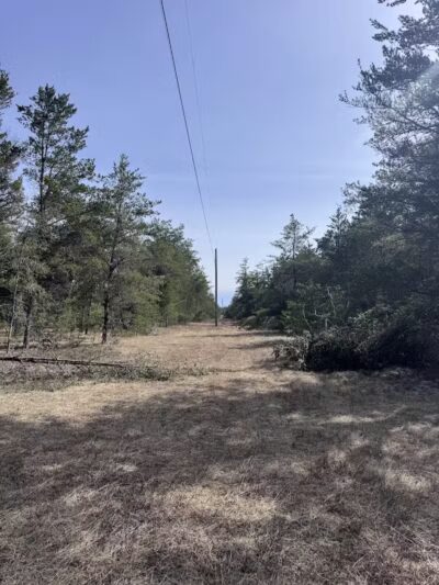 Mason Tract Pathway Trailhead - Grayling,