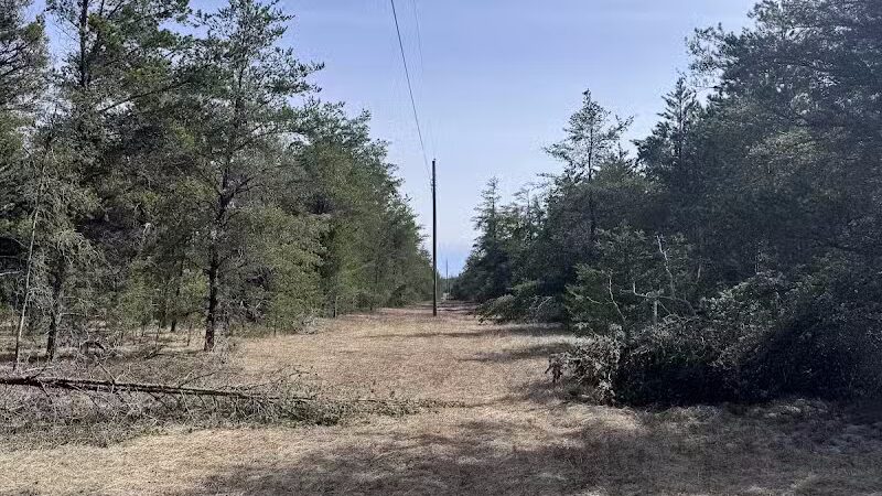 Mason Tract Pathway Trailhead - Grayling,