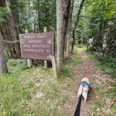 Mason Tract Pathway Trailhead - Grayling,