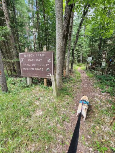 Mason Tract Pathway Trailhead - Grayling,