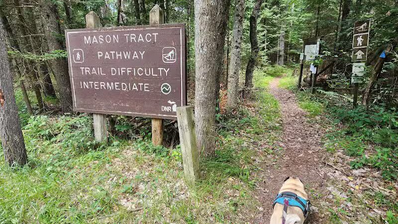 Mason Tract Pathway Trailhead - Grayling,