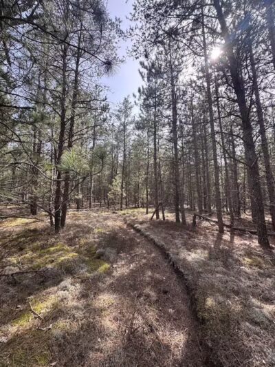 Mason Tract Pathway Trailhead - Grayling,