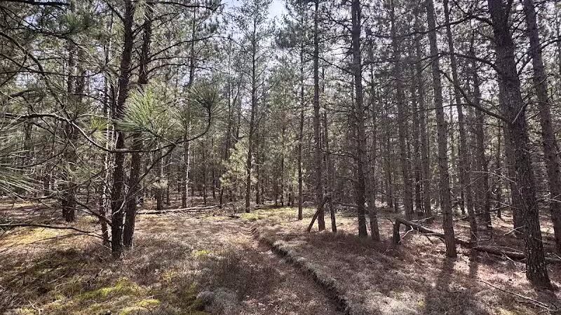 Mason Tract Pathway Trailhead - Grayling,