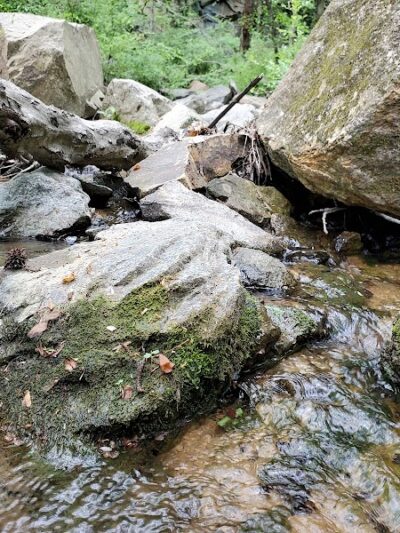 Carolina Thread Trail-Rocky Creek Trail - Great Falls, SC