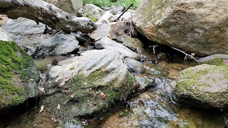 Carolina Thread Trail-Rocky Creek Trail - Great Falls, SC