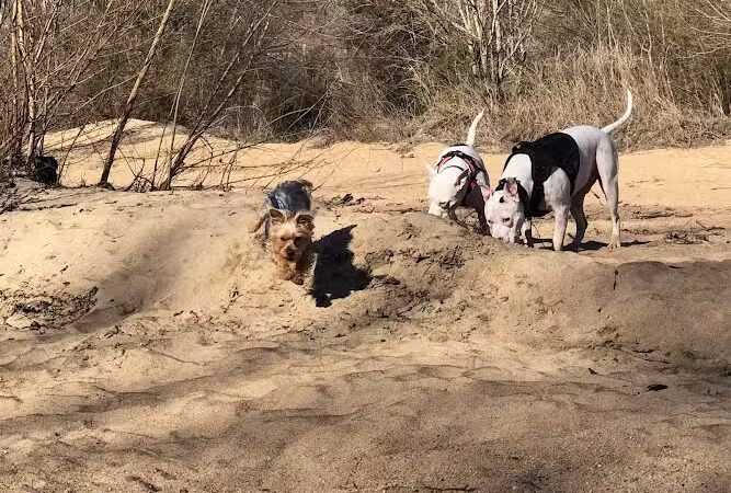 Carolina Thread Trail-Rocky Creek Trail - Great Falls, SC
