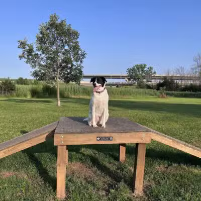 Howard Dog Park - Green Bay, WI