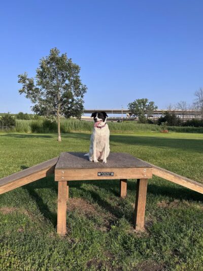 Howard Dog Park - Green Bay, WI