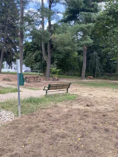Central Bark Dog Park - Green Brook Township, NJ