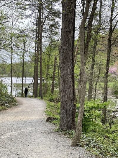 Buddy Attick Lake Park - Greenbelt, MD