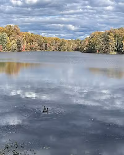 Buddy Attick Lake Park South Entrance - Greenbelt, MD