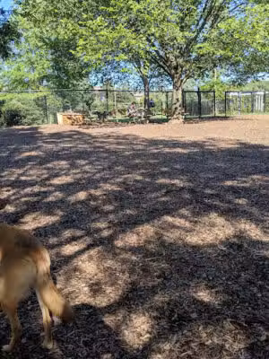 Greenbelt Dog Park (Permit Only) - Greenbelt, MD