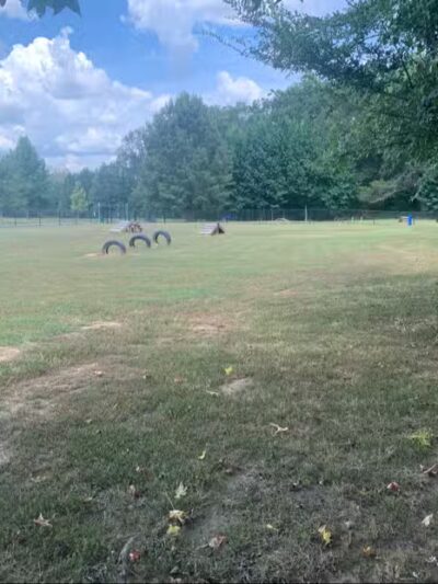 Greenbrier City Dog Park (Matthews Park) - Greenbrier, AR