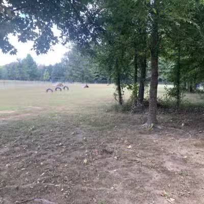 Greenbrier City Dog Park (Matthews Park) - Greenbrier, AR