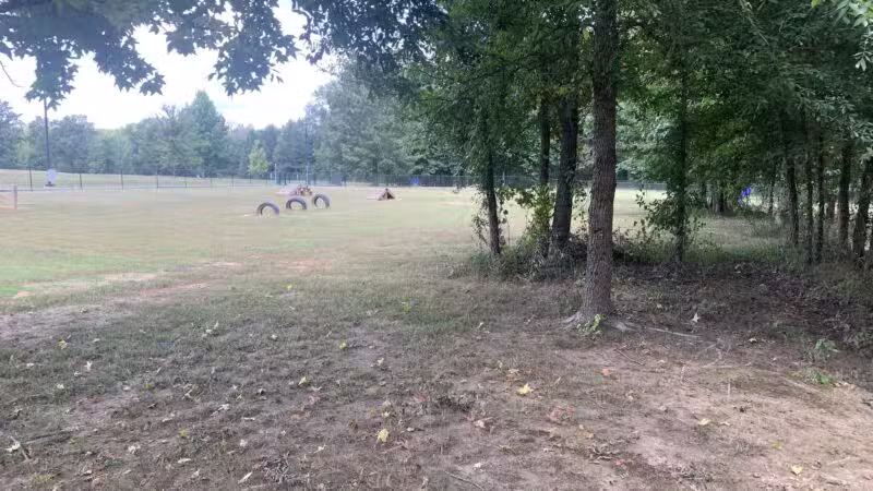 Greenbrier City Dog Park (Matthews Park) - Greenbrier, AR