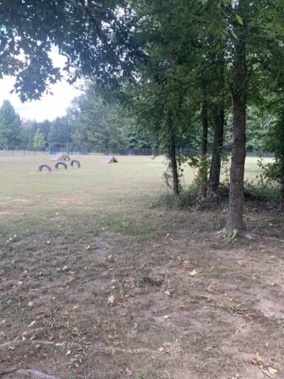 Greenbrier City Dog Park (Matthews Park) - Greenbrier, AR