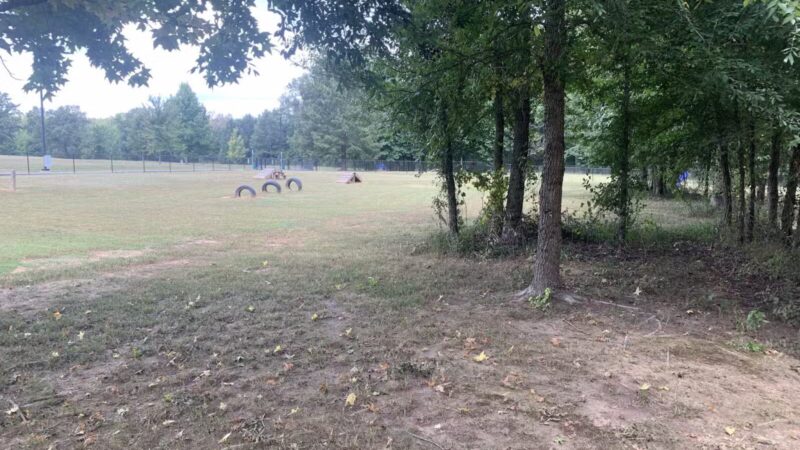 Greenbrier City Dog Park (Matthews Park) - Greenbrier, AR