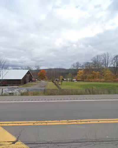 Greene Dog Park - Greene, NY