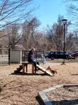 Paws Park - Greenfield, MA