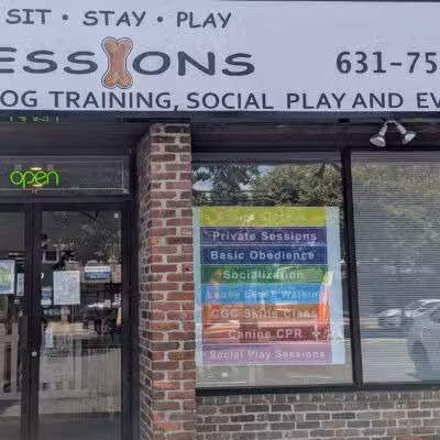 PawSessions Dog Training, Socialization and Event Center of Long Island - Greenlawn, NY